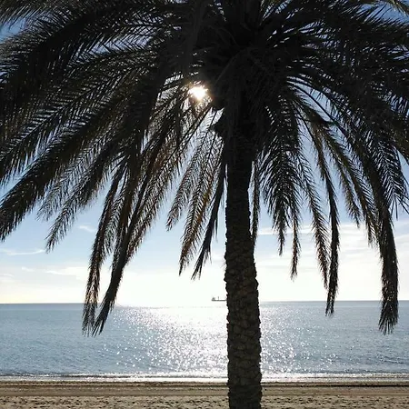 Starstudio Apartment Torremolinos